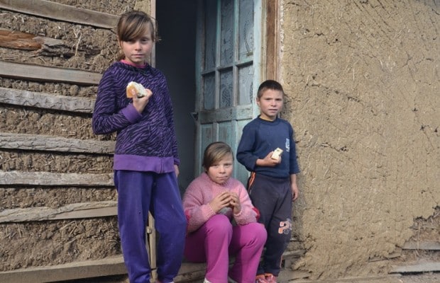 PSD crede că românii aflați sub pragul sărăciei pot trăi două luni cu un tichet de 50 de euro